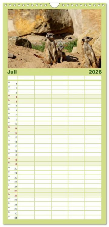 Produktbild: Familienplaner 2026 - Erdm&auml;nnchen mit 5 Spalten (Wandkalender, 21 x 45 cm) CALVENDO