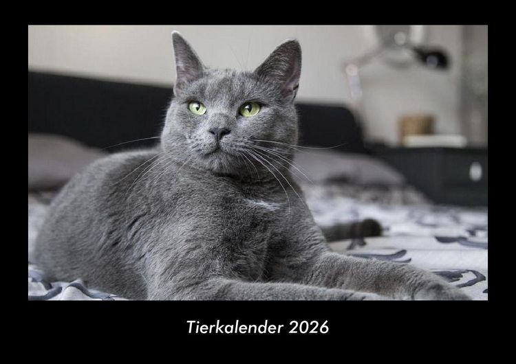 Produktbild: Tierkalender 2026 Fotokalender DIN A3