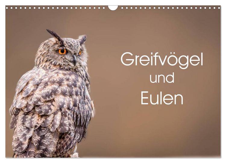 Produktbild: Greifv&ouml;gel und Eulen (Wandkalender 2026 DIN A3 quer), CALVENDO Monatskalender