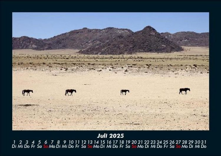 Produktbild: Die Welt der Pferde 2025 Fotokalender DIN A5