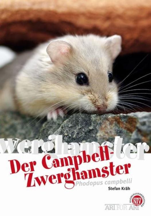Produktbild: Der Campbell-Zwerghamster