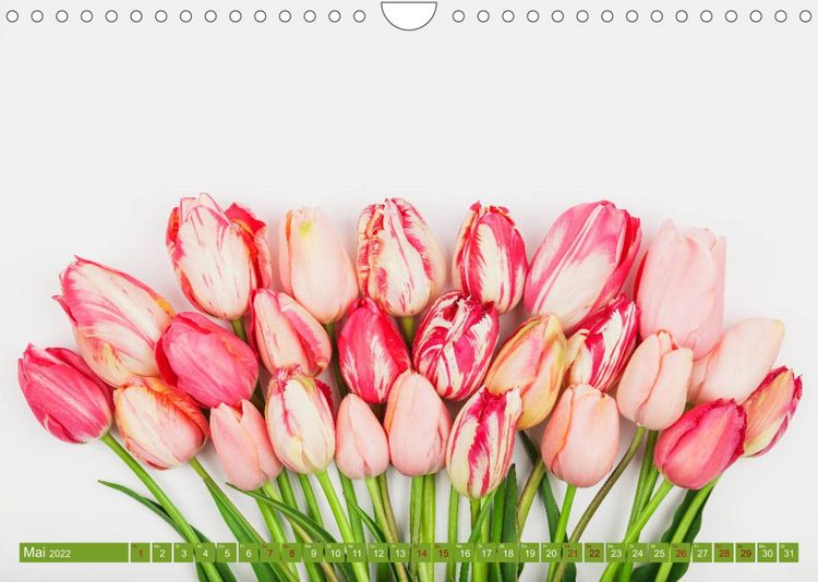 Produktbild: Tulpen f&uuml;r das ganze Jahr (Wandkalender 2022 DIN A4 quer)