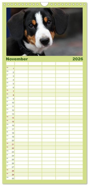 Produktbild: Familienplaner 2026 - Entlebucher Sennenhund - treue Freunde mit 5 Spalten (Wandkalender, 21 x 45 cm) CALVENDO