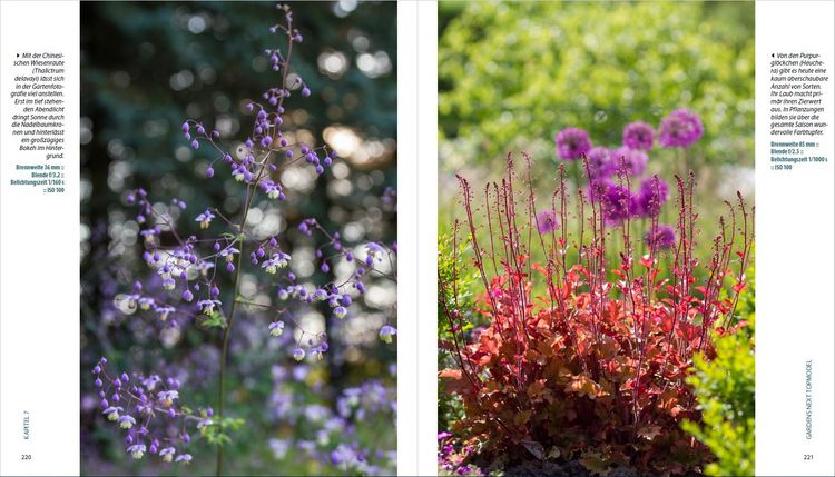 Produktbild: Garten-Shooting