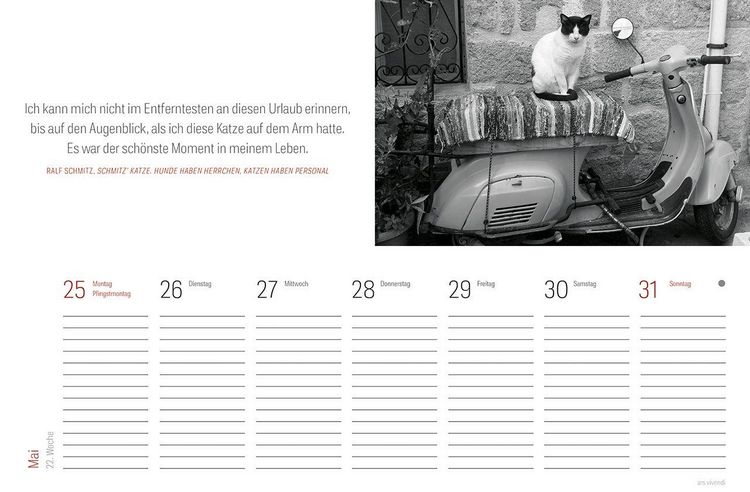 Produktbild: Tischkalender Katzen 2027