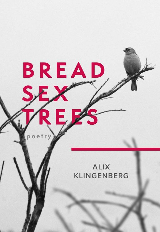 Produktbild: Bread Sex Trees