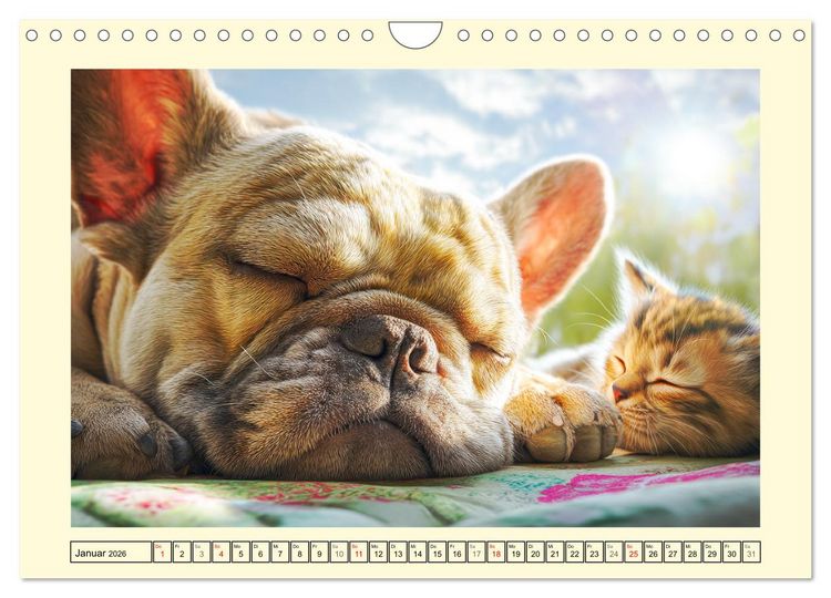 Produktbild: Fledermaus Alarm. Franz&ouml;siche Bulldoggen in der Natur (Wandkalender 2026 DIN A4 quer), CALVENDO Monatskalender