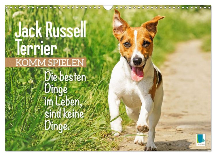 Produktbild: Jack Russell Terrier: Komm spielen (Wandkalender 2026 DIN A3 quer), CALVENDO Monatskalender