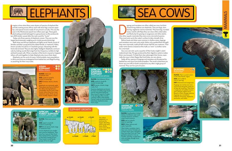Produktbild: National Geographic Kids Animal Encyclopedia, 2nd Edition
