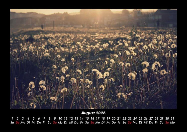 Produktbild: Blumentr&auml;ume 2026 Fotokalender DIN A3