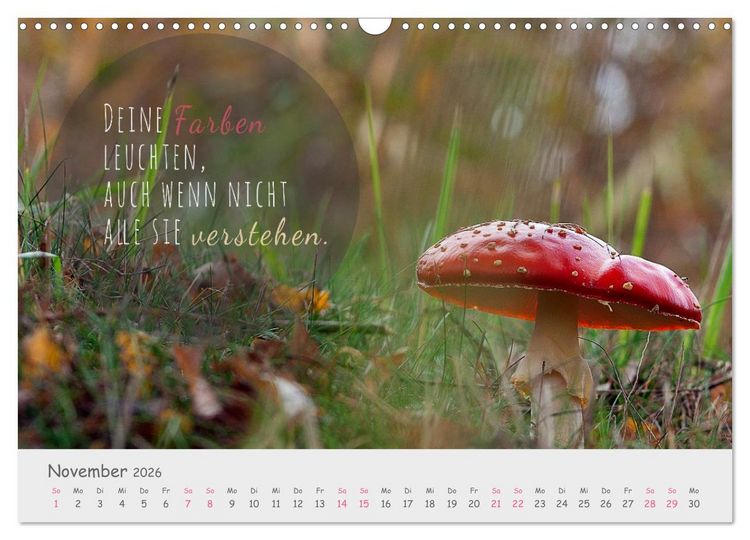 Produktbild: Sanfte Bl&uuml;ten &ndash; leise Worte (Wandkalender 2026 DIN A3 quer), CALVENDO Monatskalender