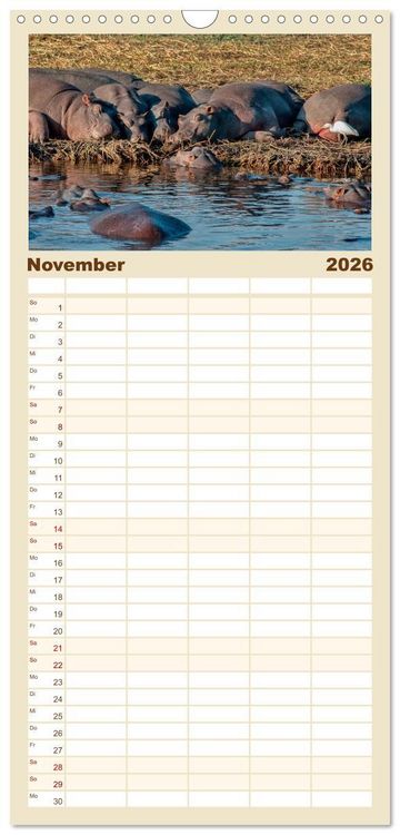 Produktbild: Familienplaner 2026 - Flusspferde - gem&uuml;tlich gef&auml;hrlich mit 5 Spalten (Wandkalender, 21 x 45 cm) CALVENDO