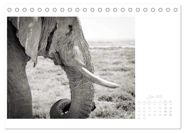 Produktbild: Elefanten in Etosha (Tischkalender 2026 DIN A5 quer), CALVENDO Monatskalender