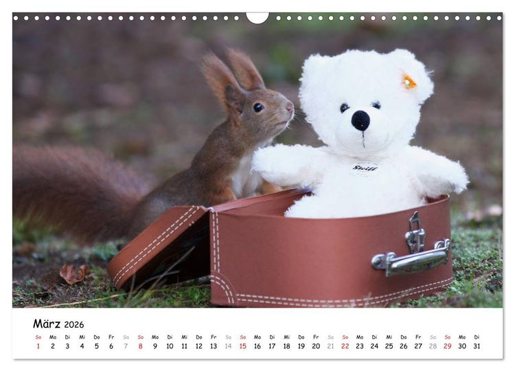 Produktbild: Unsere Eichh&ouml;rnchen in Bayern (Wandkalender 2026 DIN A3 quer), CALVENDO Monatskalender
