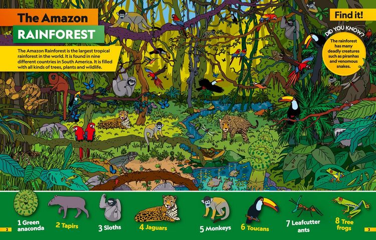 Produktbild: Animals Find it! Explore it!