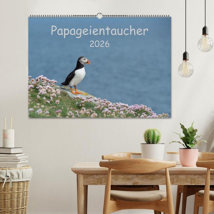 Produktbild: Papageientaucher 2026 (Wandkalender 2026 DIN A2 quer), CALVENDO Monatskalender