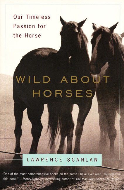 Produktbild: Wild about Horses