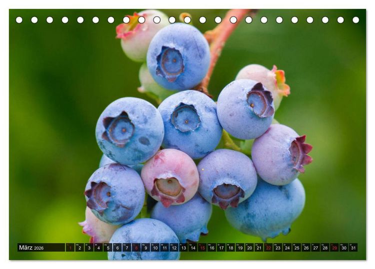 Produktbild: Superfood Blaubeere. Ich esse gerne Heidelbeeren! (Tischkalender 2026 DIN A5 quer), CALVENDO Monatskalender