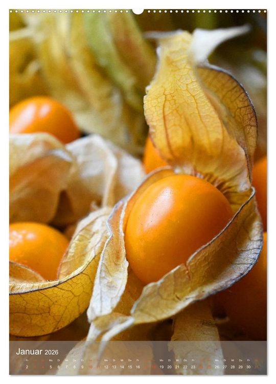 Produktbild: Blaubeeren, Himbeeren & Co - Makrofotografie in der K&uuml;che (hochwertiger Premium Wandkalender 2026 DIN A2 hoch), Kunstdruck in Hochglanz