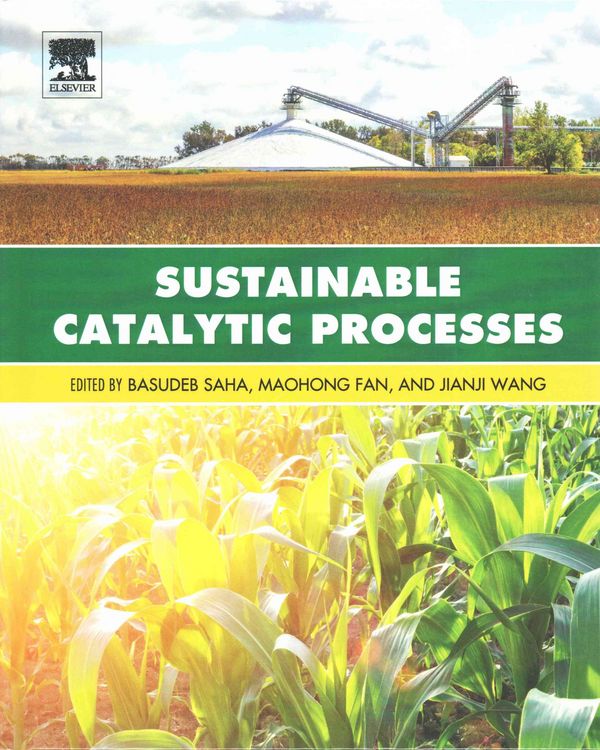 Produktbild: Sustainable Catalytic Processes