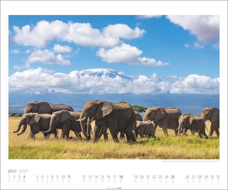 Produktbild: Elefanten Kalender 2027