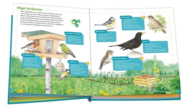 Produktbild: BOOKii&reg; H&ouml;ren und Staunen Heimische V&ouml;gel