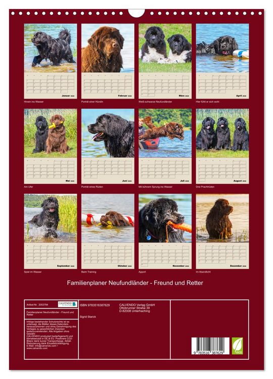 Produktbild: Familienplaner Neufundl&auml;nder - Freund und Retter (Wandkalender 2026 DIN A3 hoch), CALVENDO Monatskalender