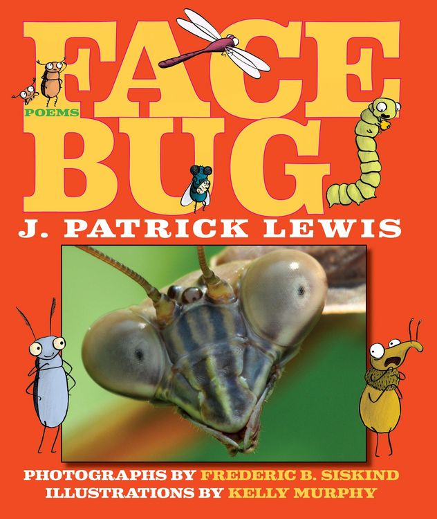 Produktbild: Lewis, J: Face Bug
