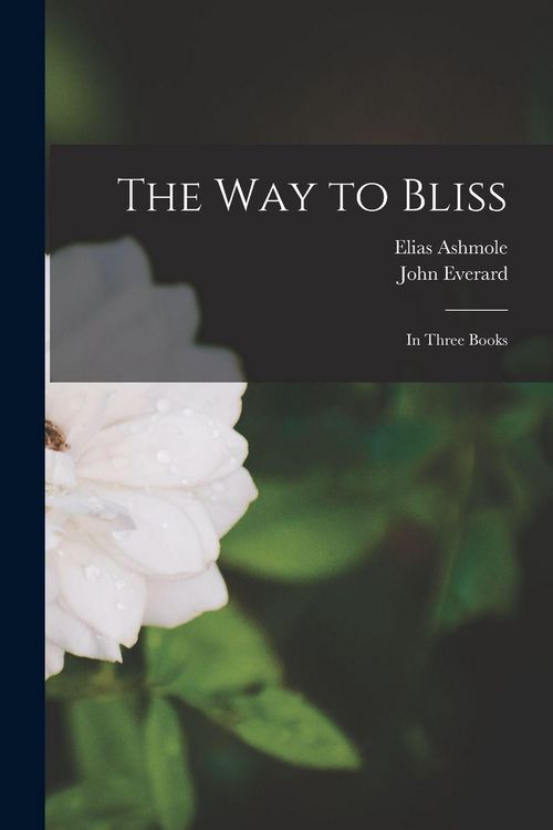 Produktbild: The Way to Bliss