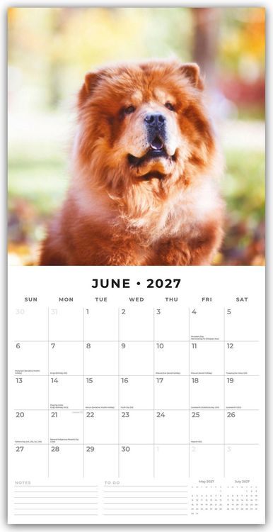 Produktbild: Chow Chows &ndash; Chow Chow 2027 &ndash; 16-Monatskalender