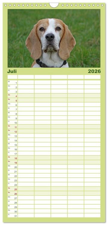 Produktbild: Familienplaner 2026 - DER BEAGLEige TERMINPLANER mit 5 Spalten (Wandkalender, 21 x 45 cm) CALVENDO