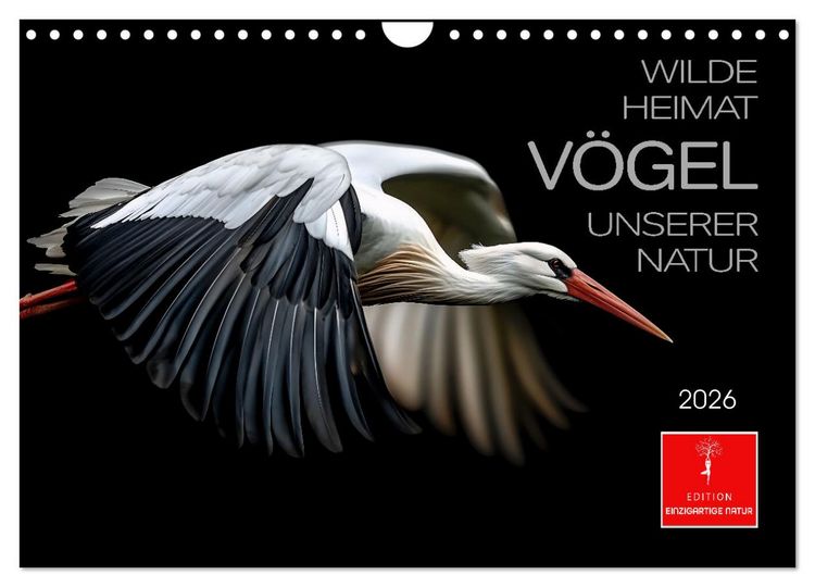 Produktbild: Wilde Heimat - V&ouml;gel unserer Natur (Wandkalender 2026 DIN A4 quer), CALVENDO Monatskalender