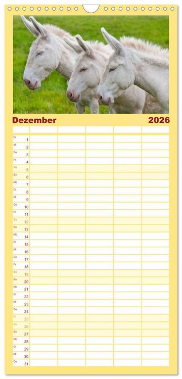 Produktbild: Familienplaner 2026 - Esel - h&uuml;bsch, klug und flei&szlig;ig mit 5 Spalten (Wandkalender, 21 x 45 cm) CALVENDO