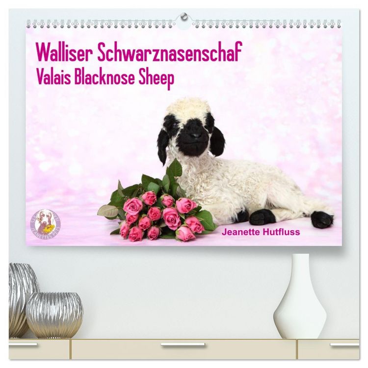 Produktbild: Walliser Schwarznasenschaf Valais Blacknose Sheep (hochwertiger Premium Wandkalender 2026 DIN A2 quer), Kunstdruck in Hochglanz