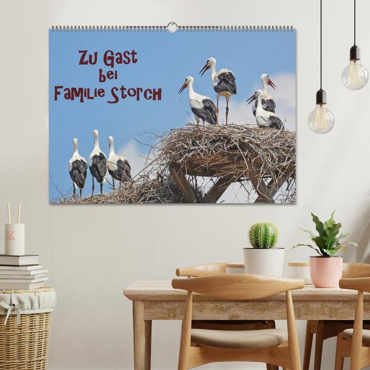 Produktbild: Zu Gast bei Familie Storch (Wandkalender 2026 DIN A2 quer), CALVENDO Monatskalender