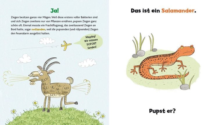 Produktbild: Wer hat hier gepupst?
