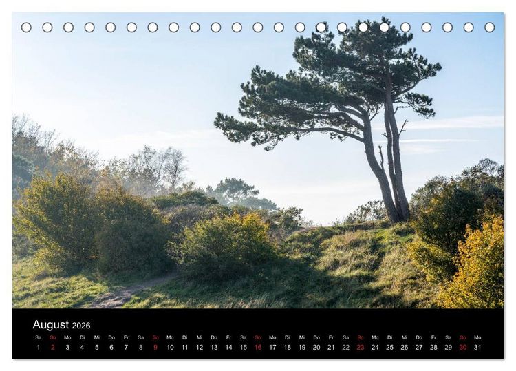 Produktbild: Gesehen auf - R&uuml;gen und Hiddensee (Tischkalender 2026 DIN A5 quer), CALVENDO Monatskalender