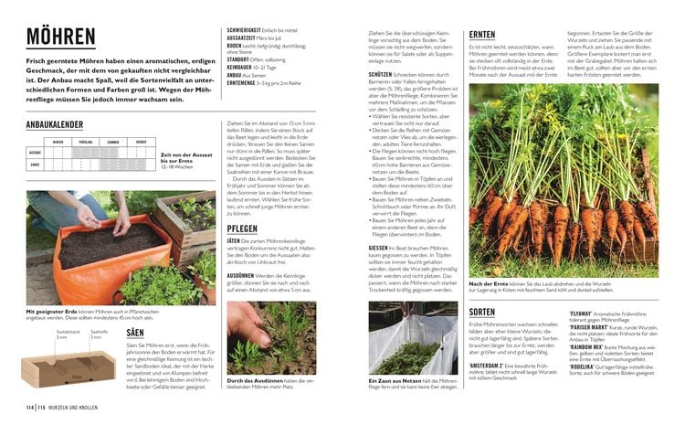 Produktbild: Gr&uuml;nes Gartenwissen. Gem&uuml;se anbauen