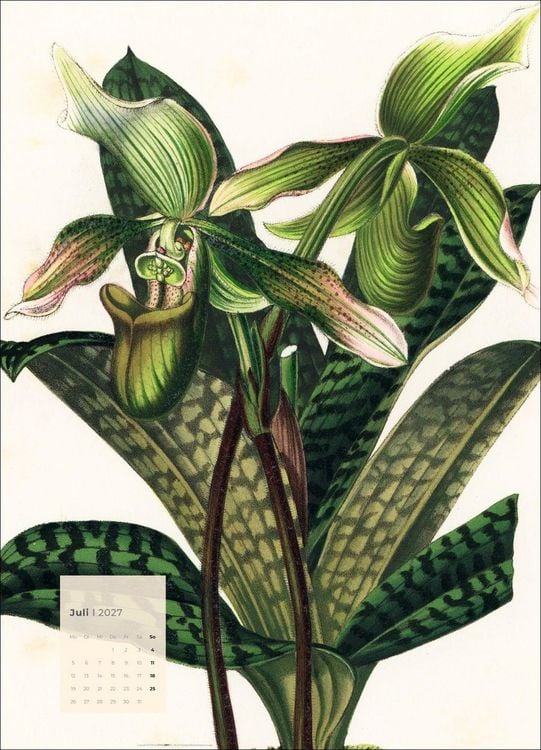 Produktbild: Botanicals Kalender 2027