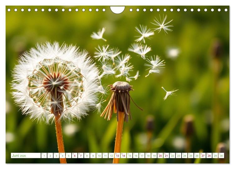 Produktbild: Die Poesie und Kraft des Windes - Windkraft in Bewegung (Wandkalender 2026 DIN A4 quer), CALVENDO Monatskalender