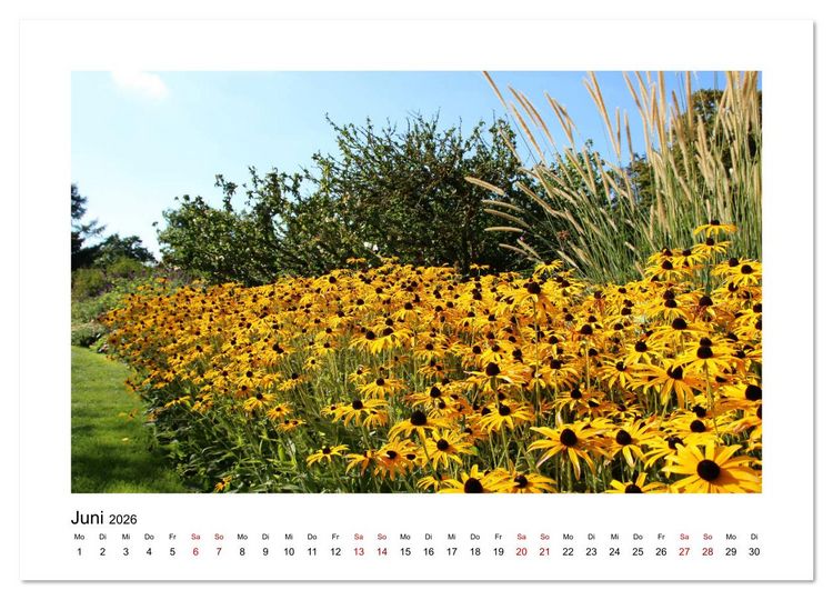Produktbild: Zauberhafte Landschaften im Odenwald (Wandkalender 2026 DIN A3 quer), CALVENDO Monatskalender
