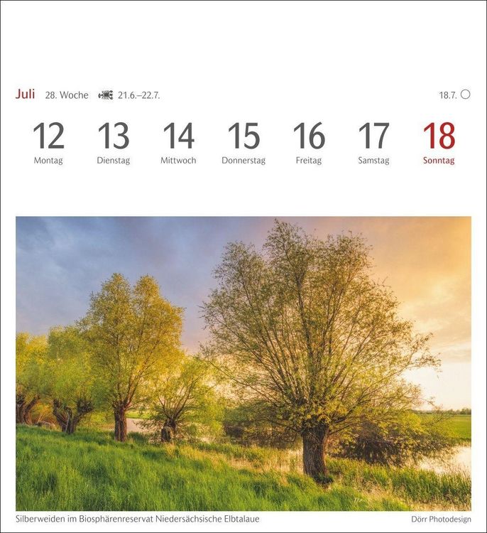 Produktbild: B&auml;ume Postkartenkalender 2027 - Wochenkalender mit 53 Postkarten