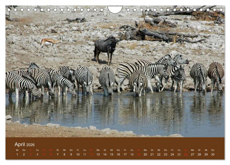 Produktbild: Namibia - faszinierende Menschen und Tiere (Wandkalender 2026 DIN A4 quer), CALVENDO Monatskalender