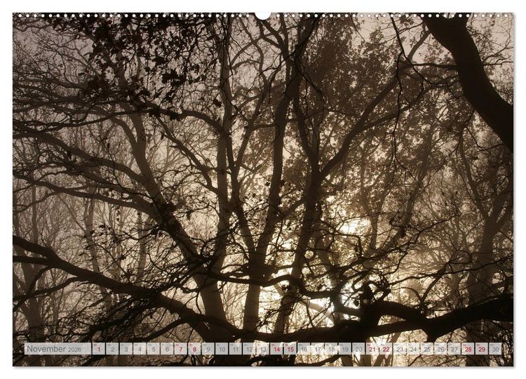 Produktbild: Natur-Paradies Mecklenburgische Schweiz (Wandkalender 2026 DIN A2 quer), CALVENDO Monatskalender