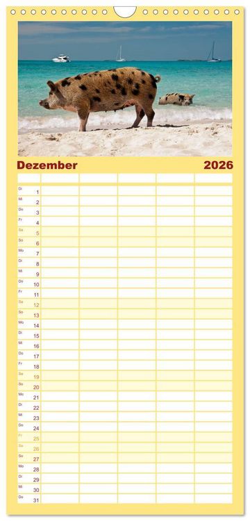Produktbild: Familienplaner 2026 - Schweine im Dauerurlaub auf den Bahamas! mit 5 Spalten (Wandkalender, 21 x 45 cm) CALVENDO