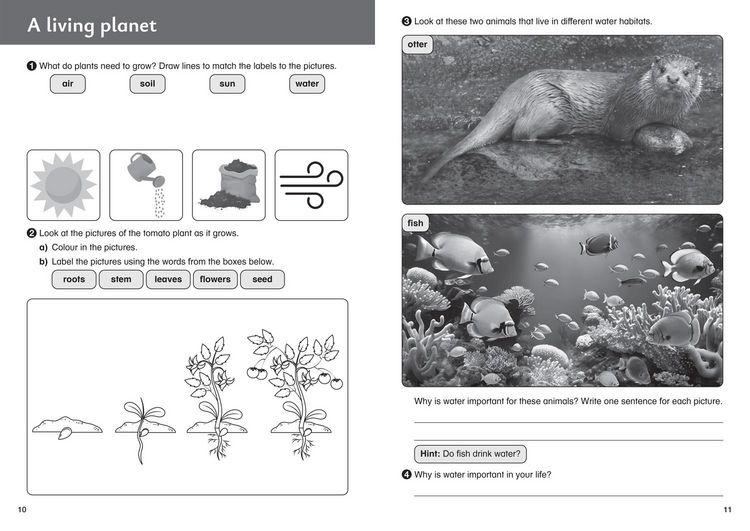 Produktbild: Our planet - Workbook 2