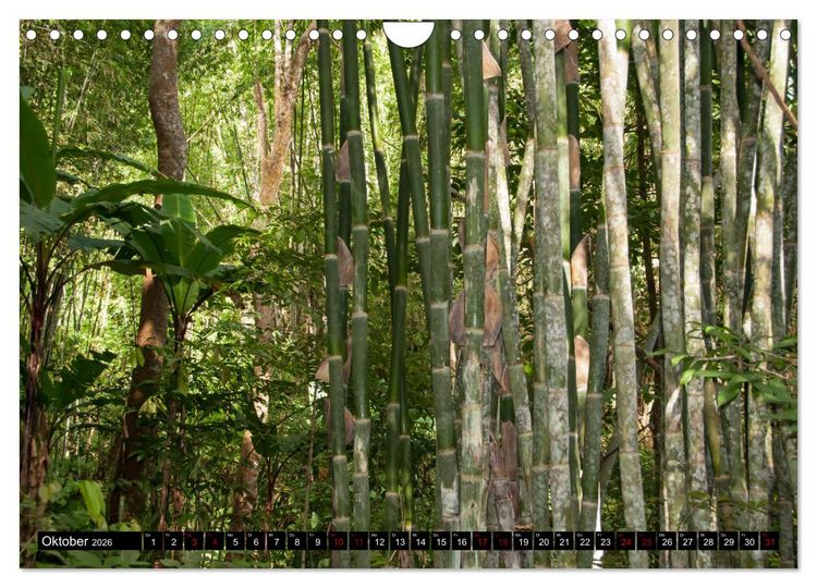 Produktbild: Thailand abseits der Str&auml;nde (Wandkalender 2026 DIN A4 quer), CALVENDO Monatskalender
