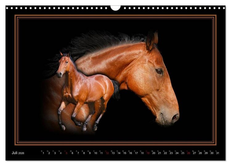 Produktbild: Traumpferde-ART-Collection (Wandkalender 2026 DIN A3 quer), CALVENDO Monatskalender