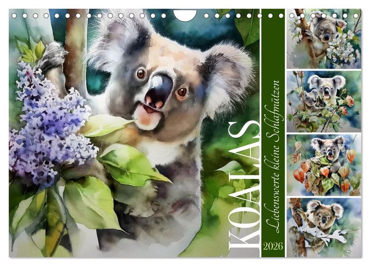 Produktbild: Koalas, liebenswerte kleine Schlafm&uuml;tzen (Wandkalender 2026 DIN A4 quer), CALVENDO Monatskalender