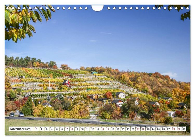 Produktbild: Weinberge um Jena (Wandkalender 2026 DIN A4 quer), CALVENDO Monatskalender